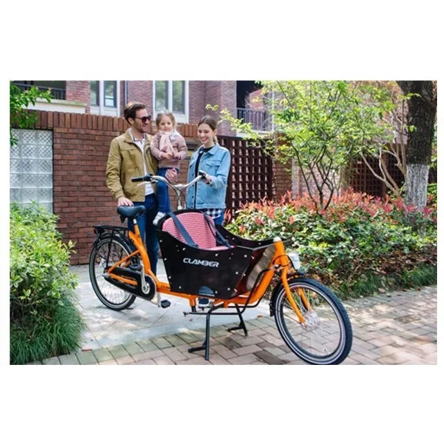 Hot sale electric cargo bike with cabin/cargo tricycle with CE certification for sale/2 wheel bakfiets Clamber UB9015E