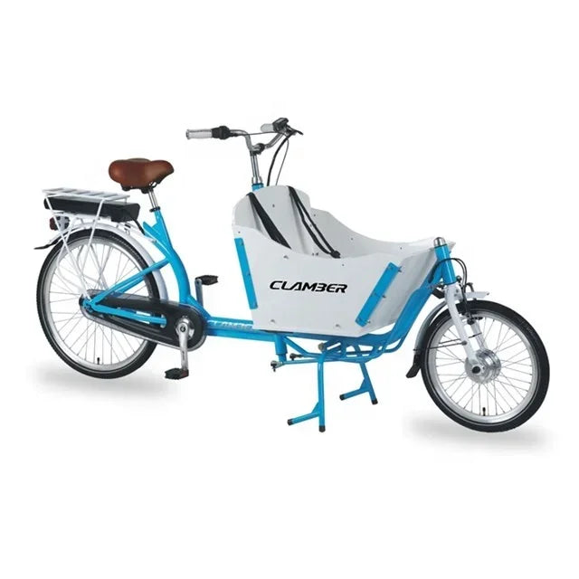 Hot sale electric cargo bike with cabin/cargo tricycle with CE certification for sale/2 wheel bakfiets Clamber UB9015E