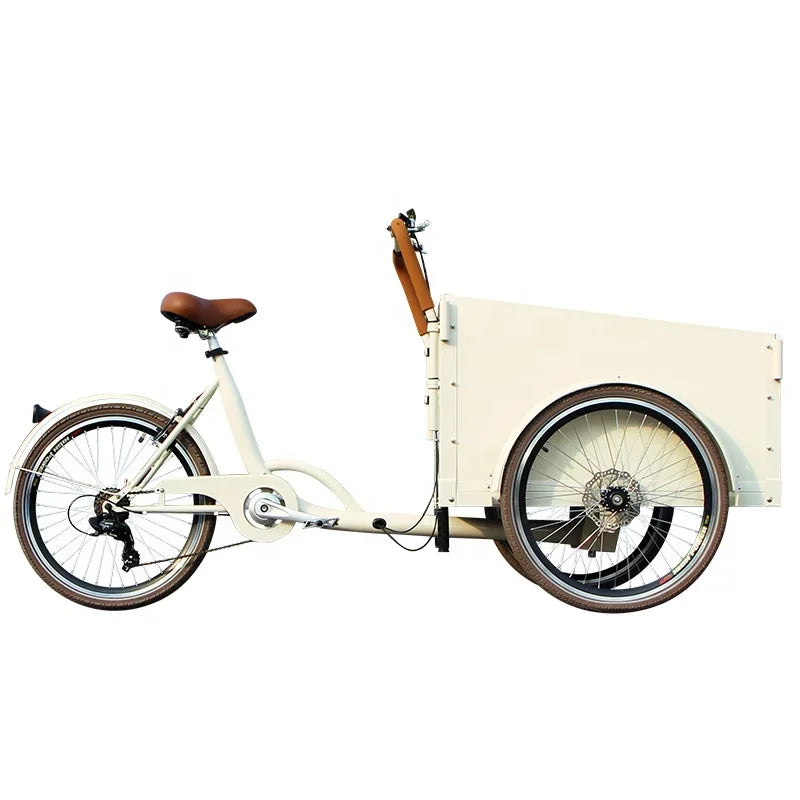 Electric Bakfiets LCD Displayracks Electric Cargo Bike 36V Lithium Battery Tricycle E-cargo Bike Dutch Bike For Family