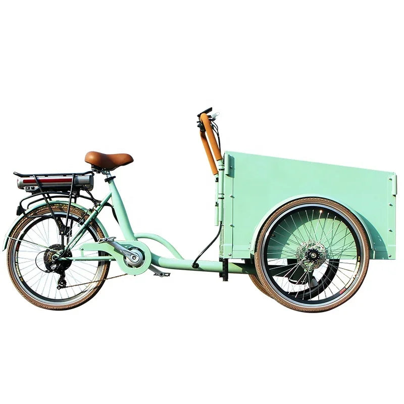 Electric Bakfiets LCD Displayracks Electric Cargo Bike 36V Lithium Battery Tricycle E-cargo Bike Dutch Bike For Family